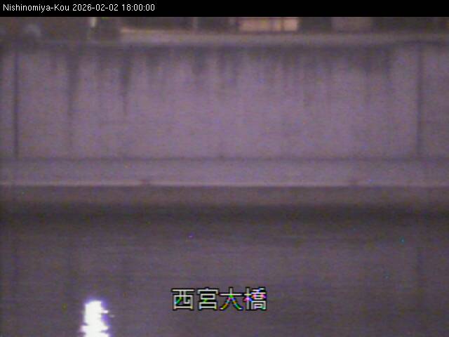 最新監視カメラ画像