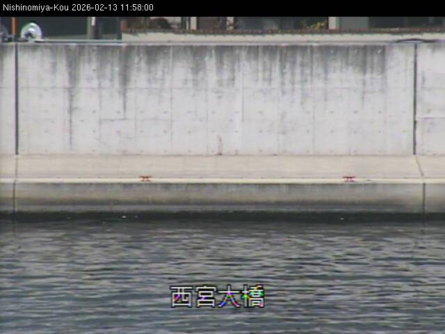 最新監視カメラ画像