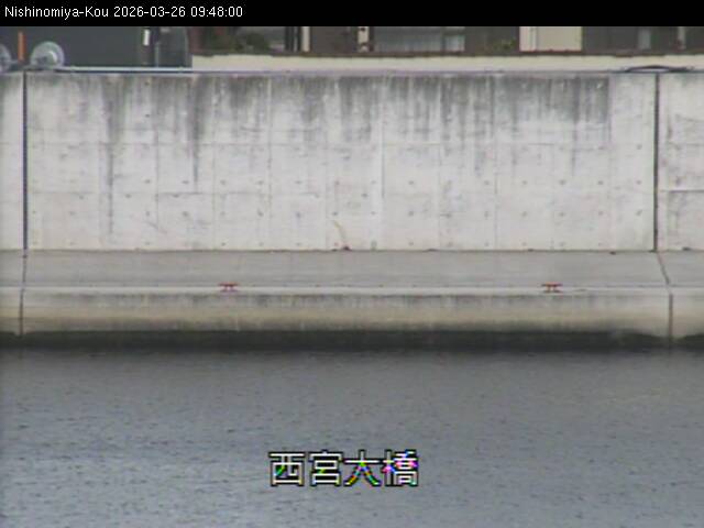 最新監視カメラ画像