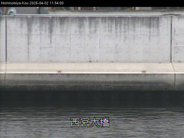 最新監視カメラ画像