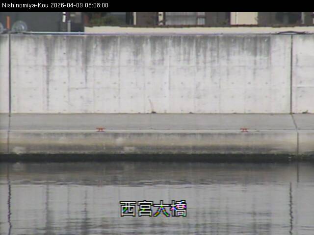 最新監視カメラ画像