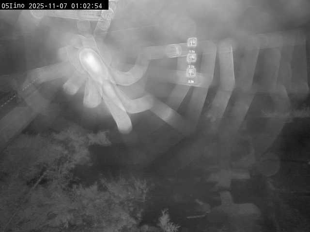 最新監視カメラ画像