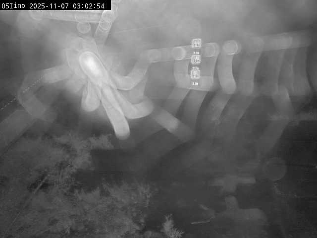 最新監視カメラ画像