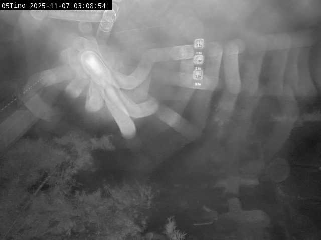 最新監視カメラ画像