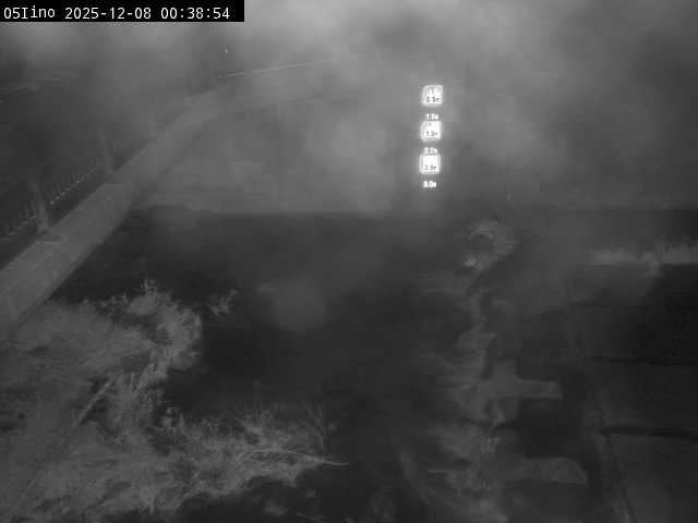 最新監視カメラ画像