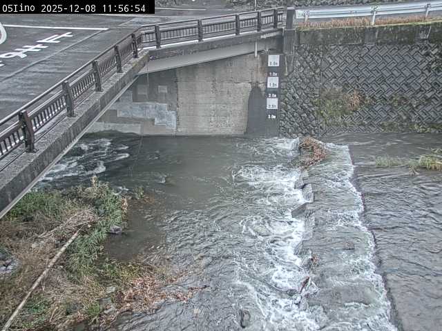 最新監視カメラ画像