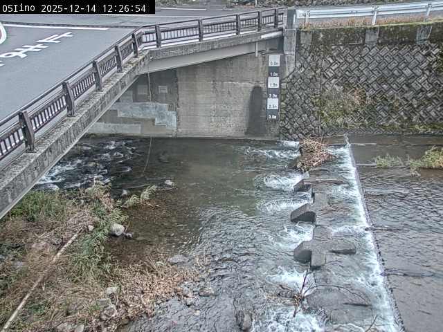 最新監視カメラ画像