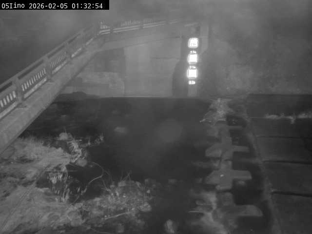 最新監視カメラ画像