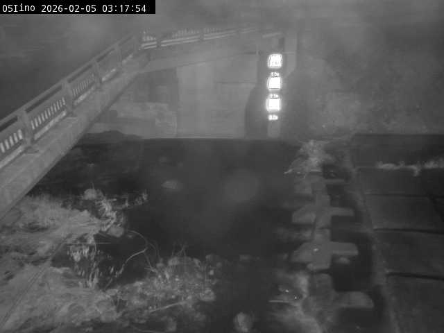 最新監視カメラ画像