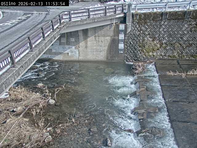 最新監視カメラ画像