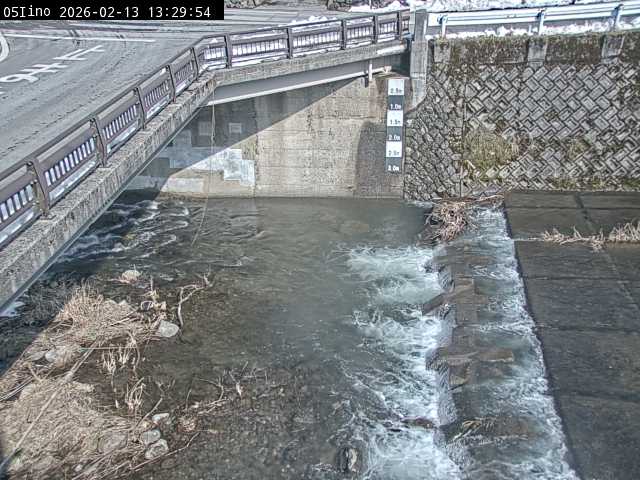 最新監視カメラ画像