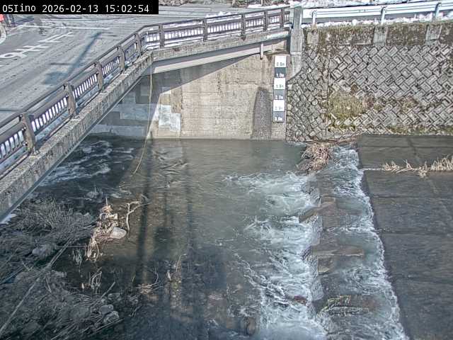 最新監視カメラ画像