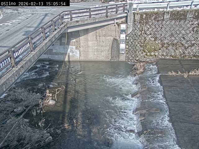 最新監視カメラ画像