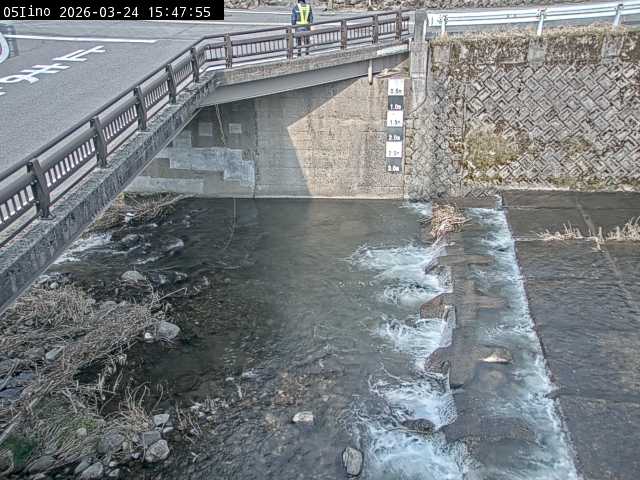 最新監視カメラ画像