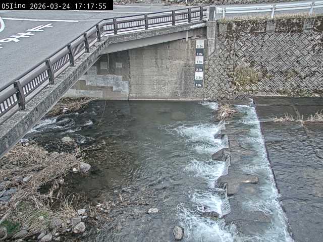 最新監視カメラ画像