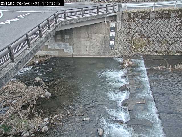 最新監視カメラ画像