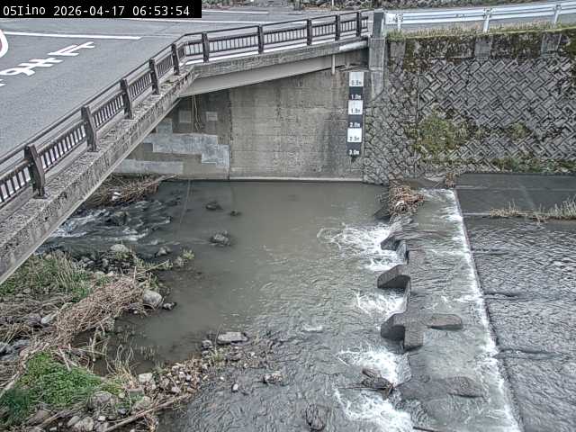 最新監視カメラ画像