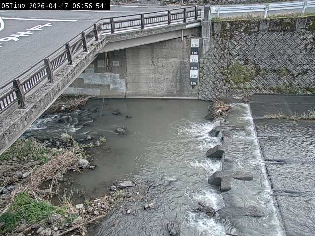 最新監視カメラ画像