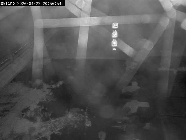 最新監視カメラ画像