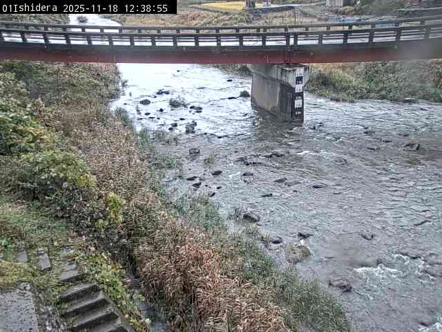 最新監視カメラ画像