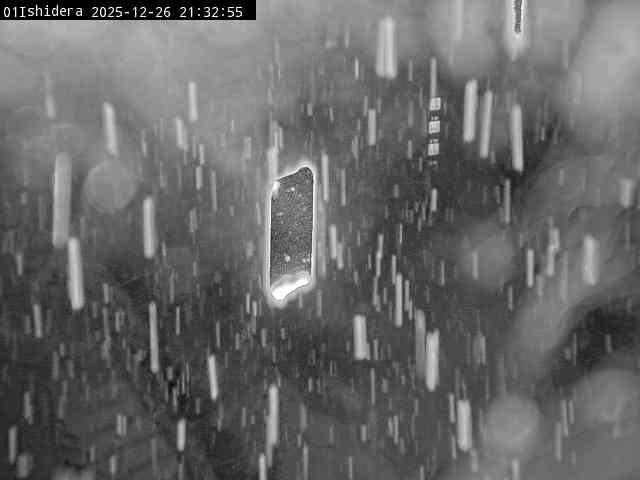 最新監視カメラ画像