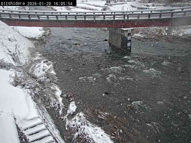 最新監視カメラ画像