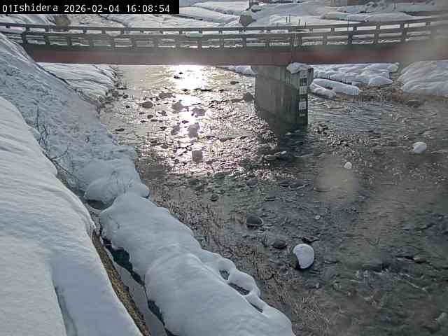 最新監視カメラ画像