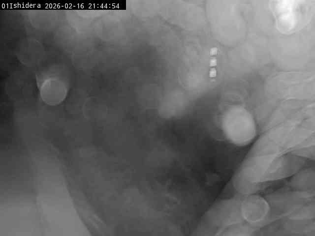 最新監視カメラ画像