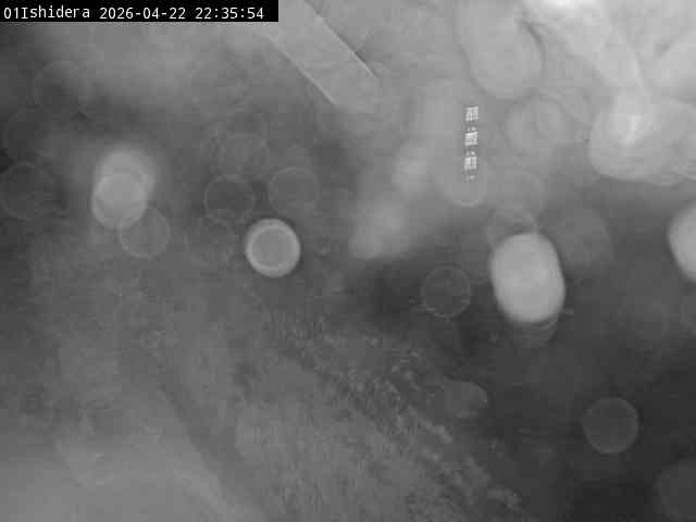 最新監視カメラ画像