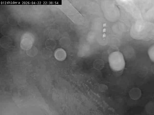 最新監視カメラ画像