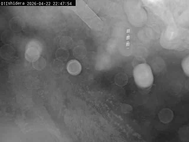 最新監視カメラ画像