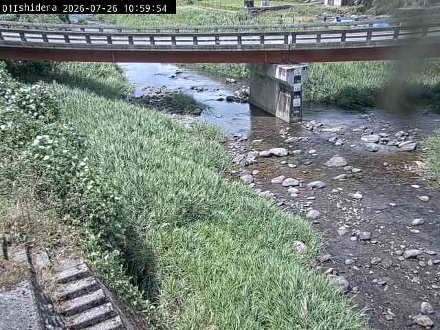最新監視カメラ画像