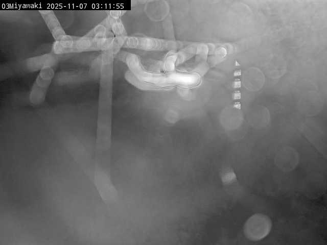 最新監視カメラ画像