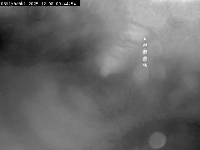 最新監視カメラ画像