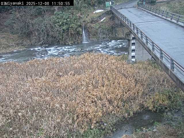 最新監視カメラ画像