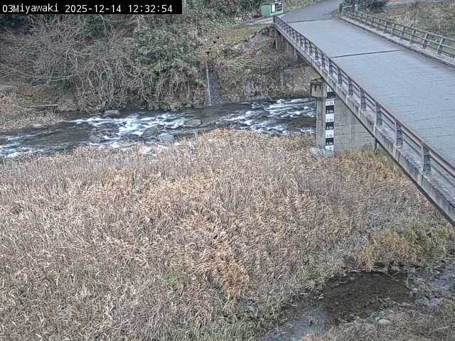 最新監視カメラ画像