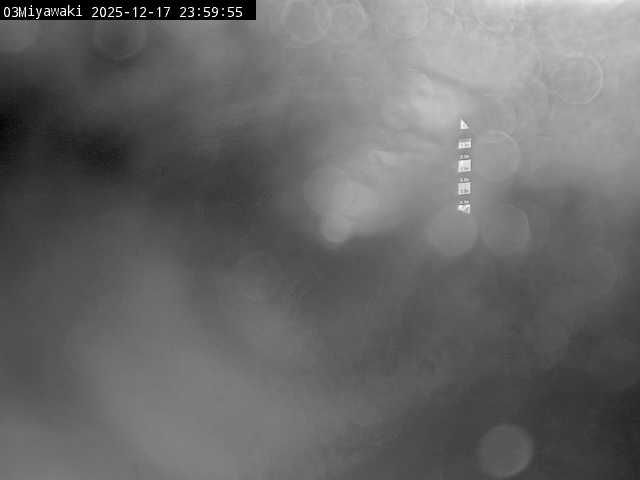 最新監視カメラ画像