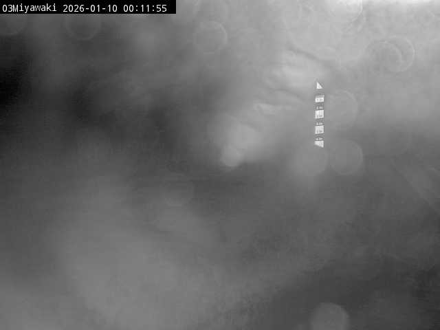 最新監視カメラ画像