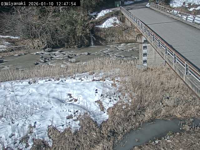 最新監視カメラ画像