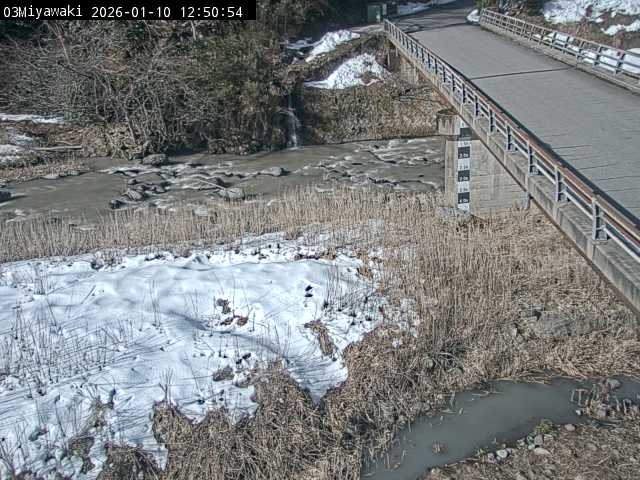 最新監視カメラ画像