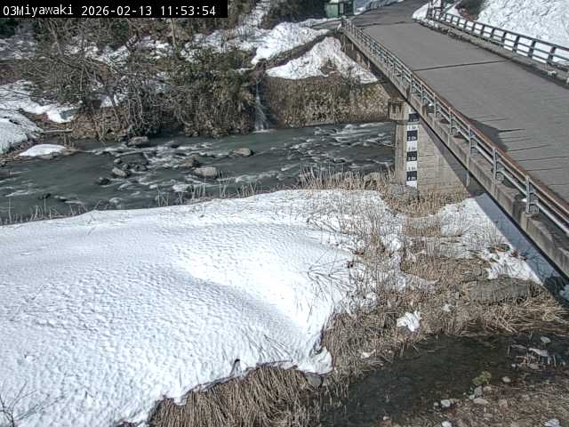 最新監視カメラ画像