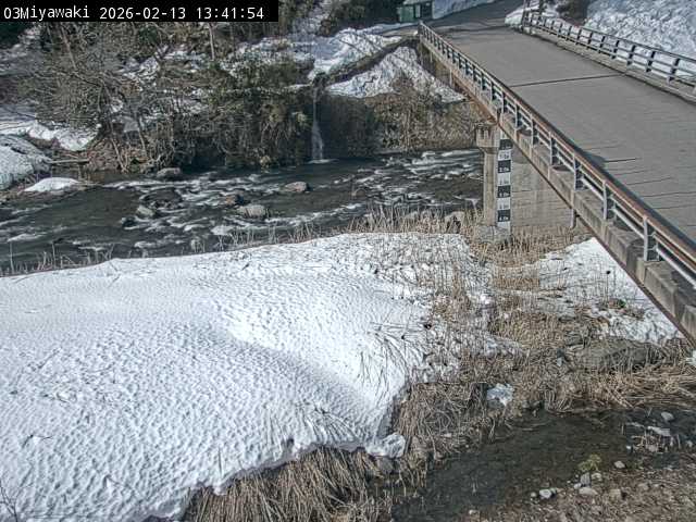 最新監視カメラ画像