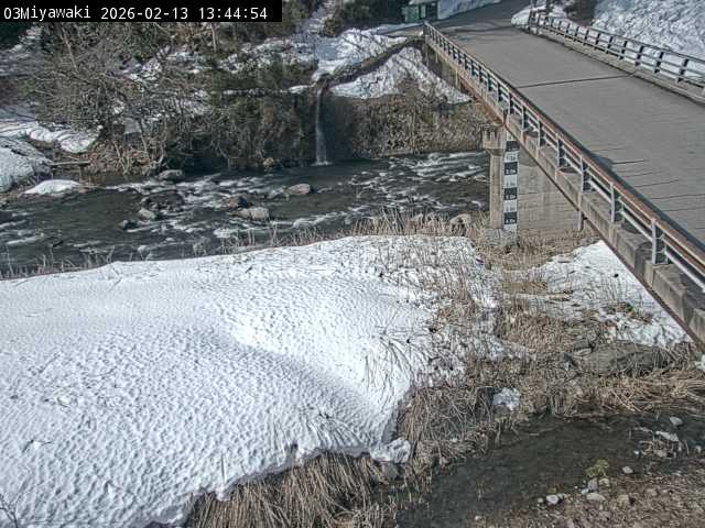 最新監視カメラ画像