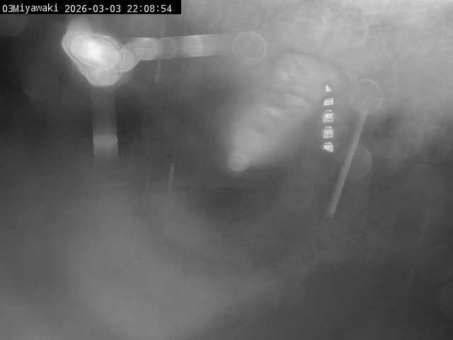 最新監視カメラ画像