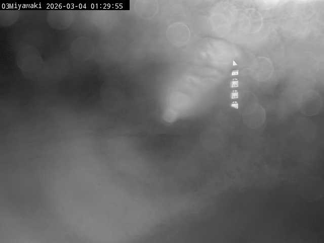 最新監視カメラ画像