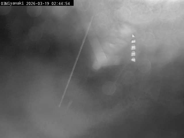 最新監視カメラ画像