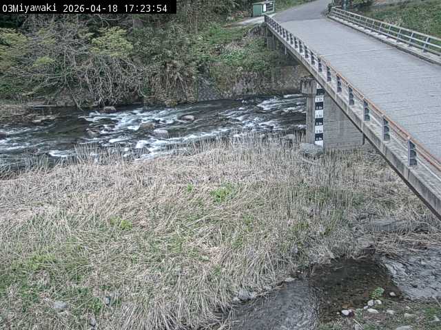 最新監視カメラ画像