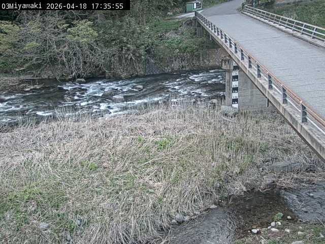 最新監視カメラ画像