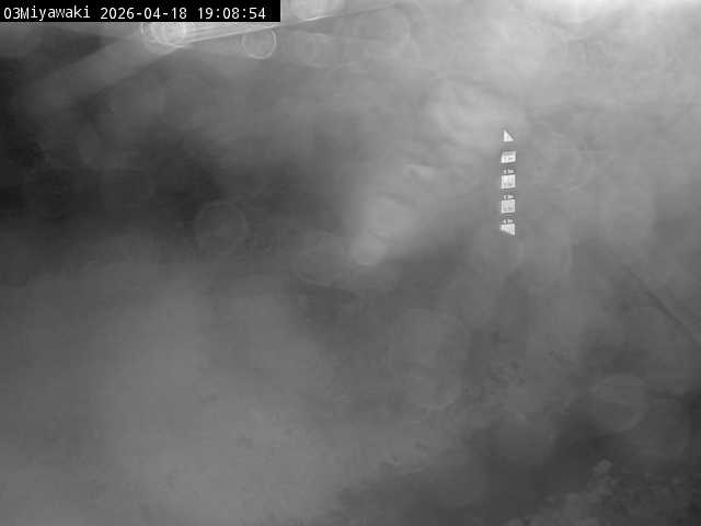 最新監視カメラ画像