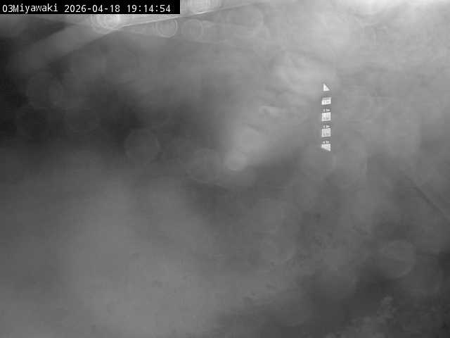 最新監視カメラ画像